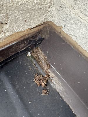 Project in Nashville