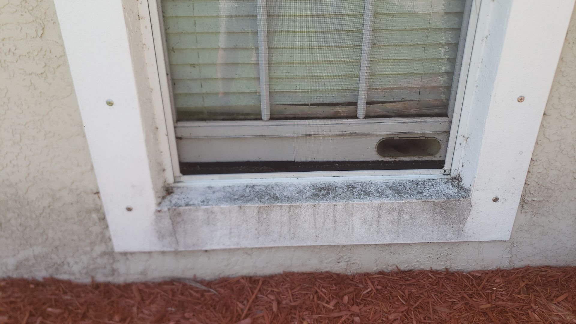 CoolWall Project in Port Charlotte by Sunbelt Home Solutions