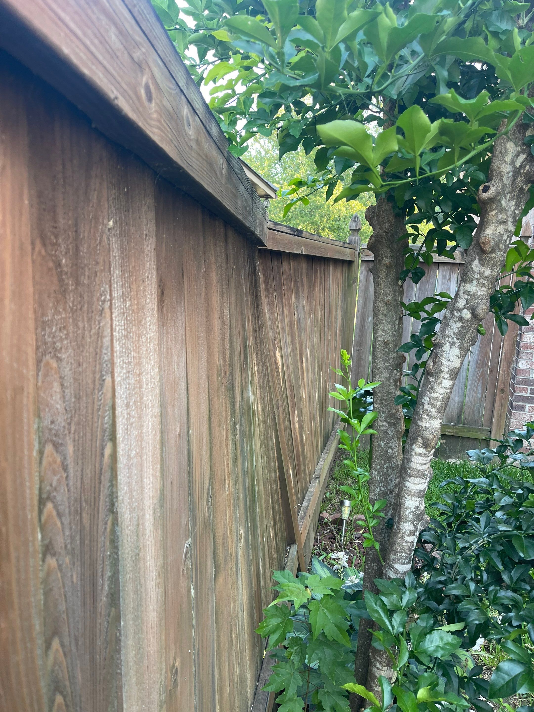 6ft Treated Pine Good Neighbor Fence 6x6 French Gothic Posts by Roberson Construction LLC