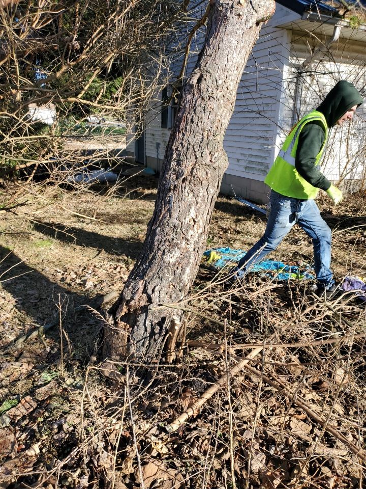 Storm Damaged Tree Removal  using Tree Removal by Mike Jones & Sons Tree Service LLC 