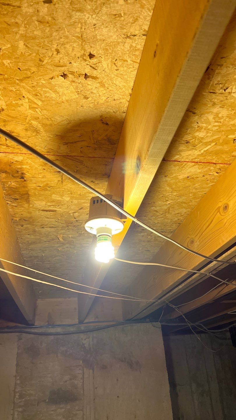 Mold Damage by Accountable Home Services