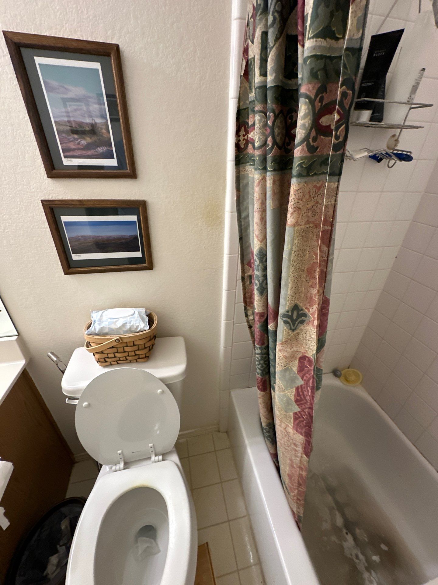Tub to Walk-in Shower in Buda by Lane Lauritsen - The Hill Country, Texas