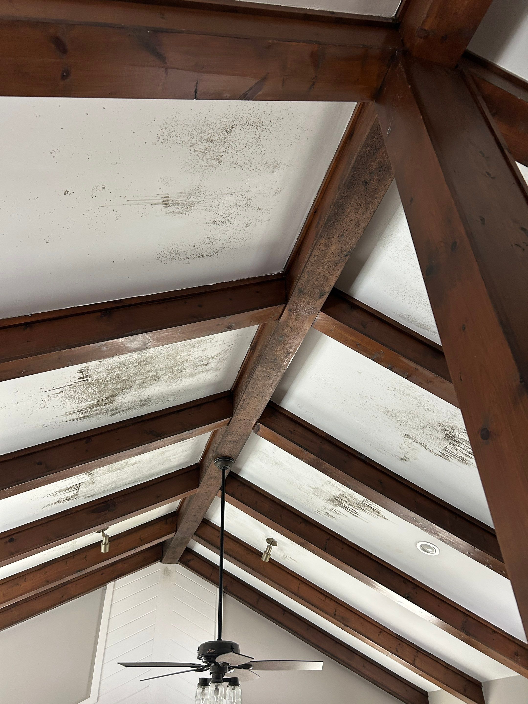 Ceiling Renovation & Insulation Upgrade by PGP Surface Solutions, LLC