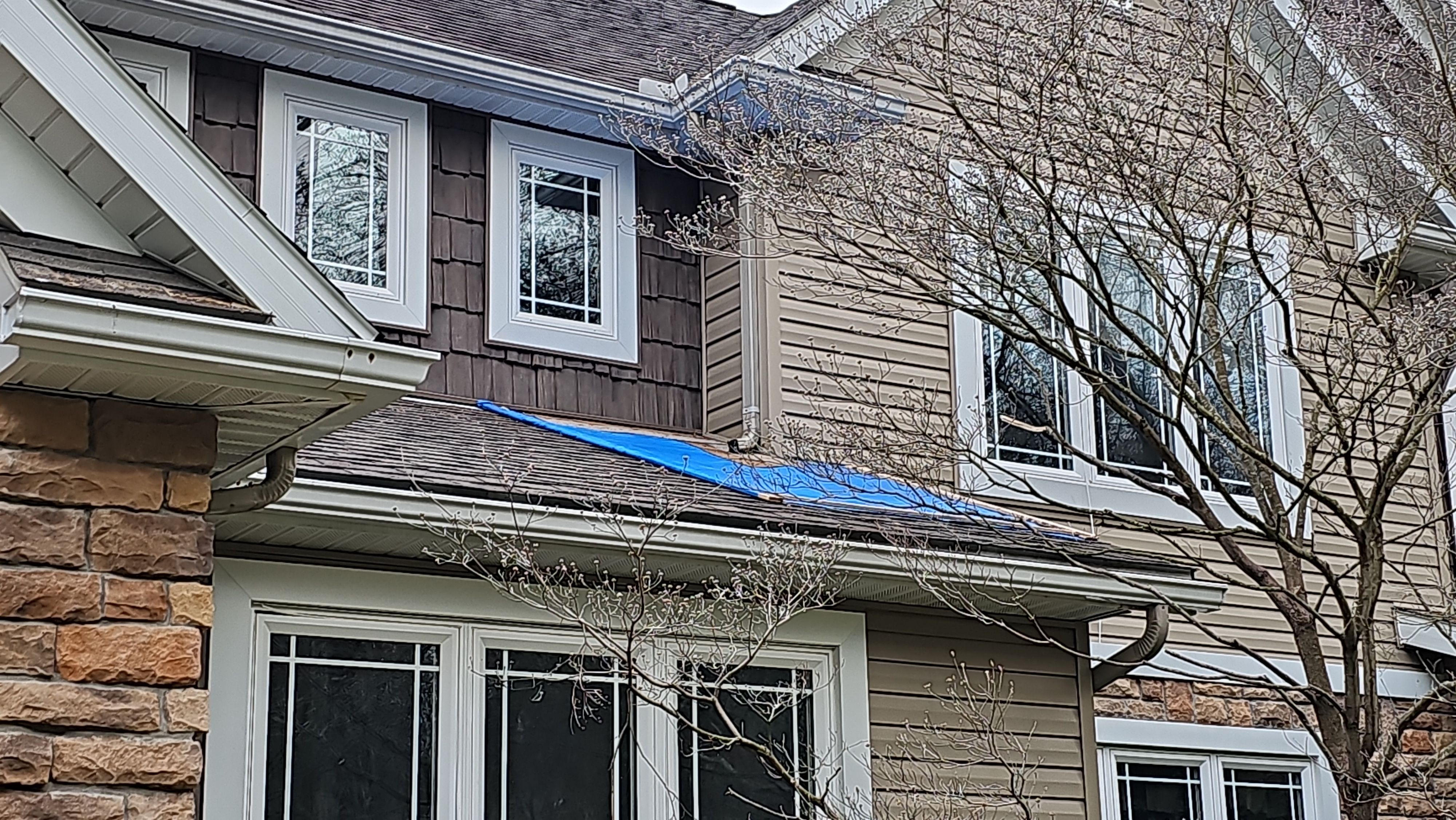 Atlas Pinnacle, Color, Coastal Granite, Drip Edge, Color, Black by Eagle Eye Roofing