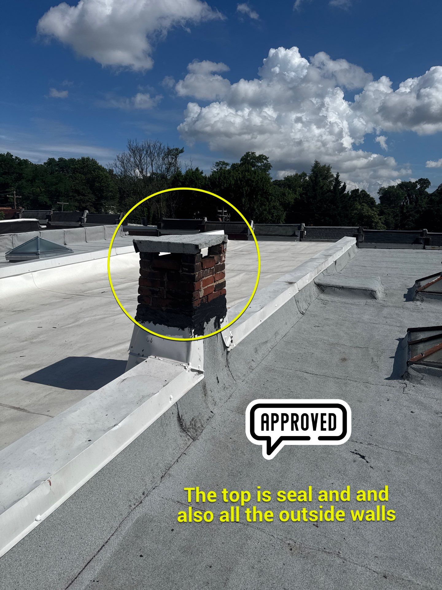 New Flat Roof by Alpha Design Services