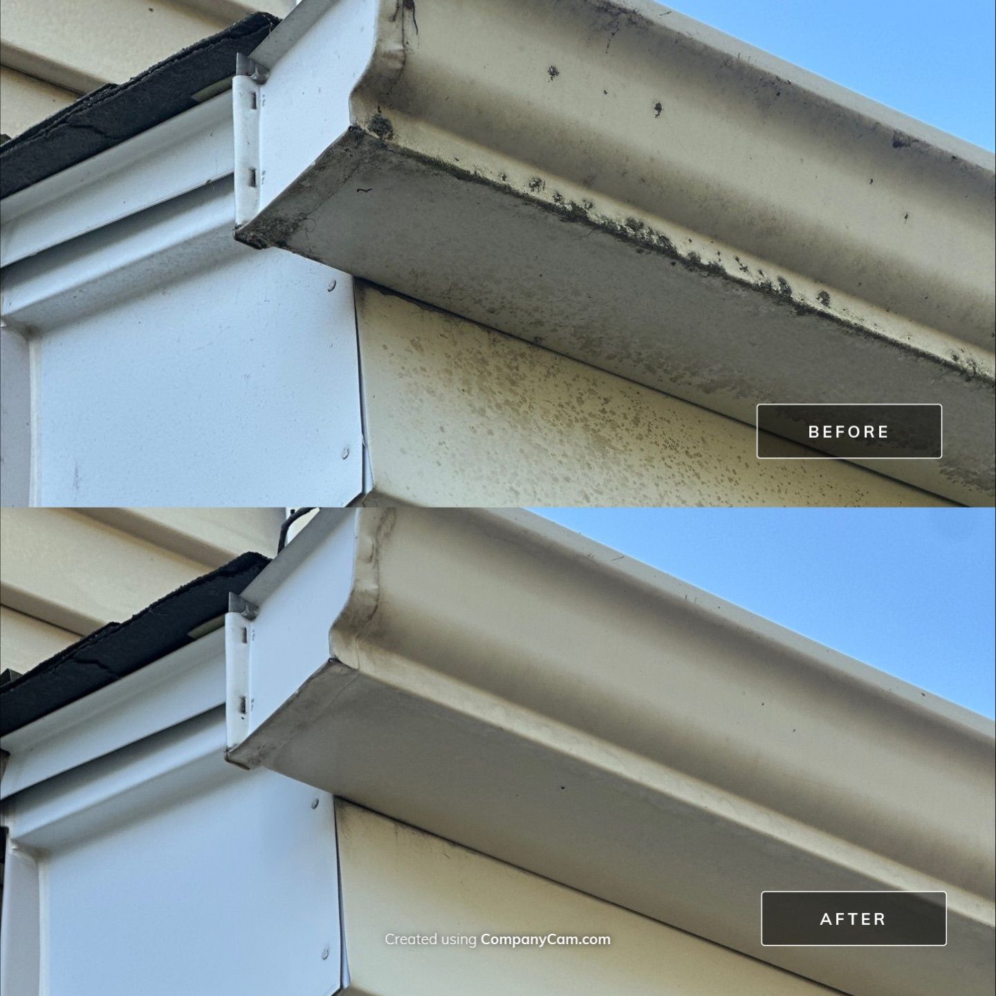 Project in Arlington Heights by Simmons Power & Soft Washing