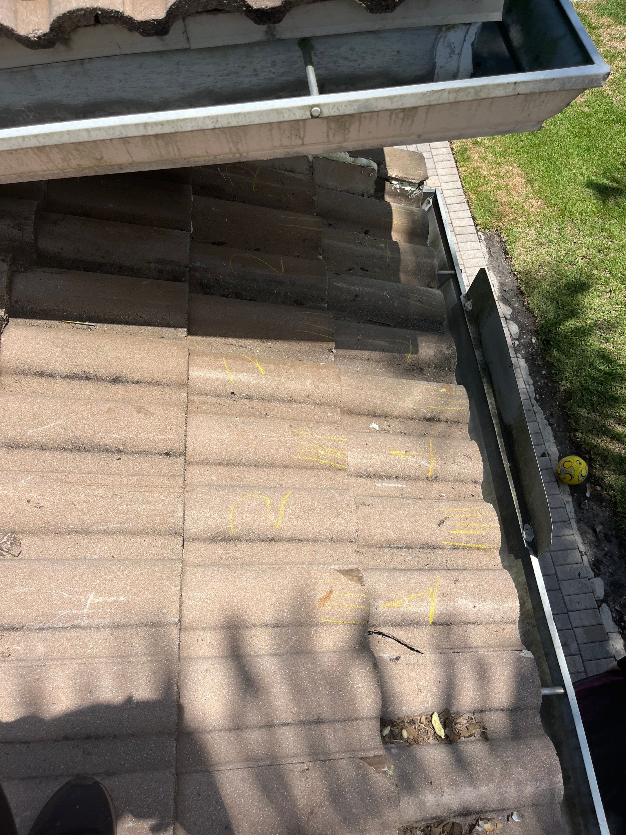Roof repair due to bird-related damage by The Goat Contractor ( Giampri Corp)