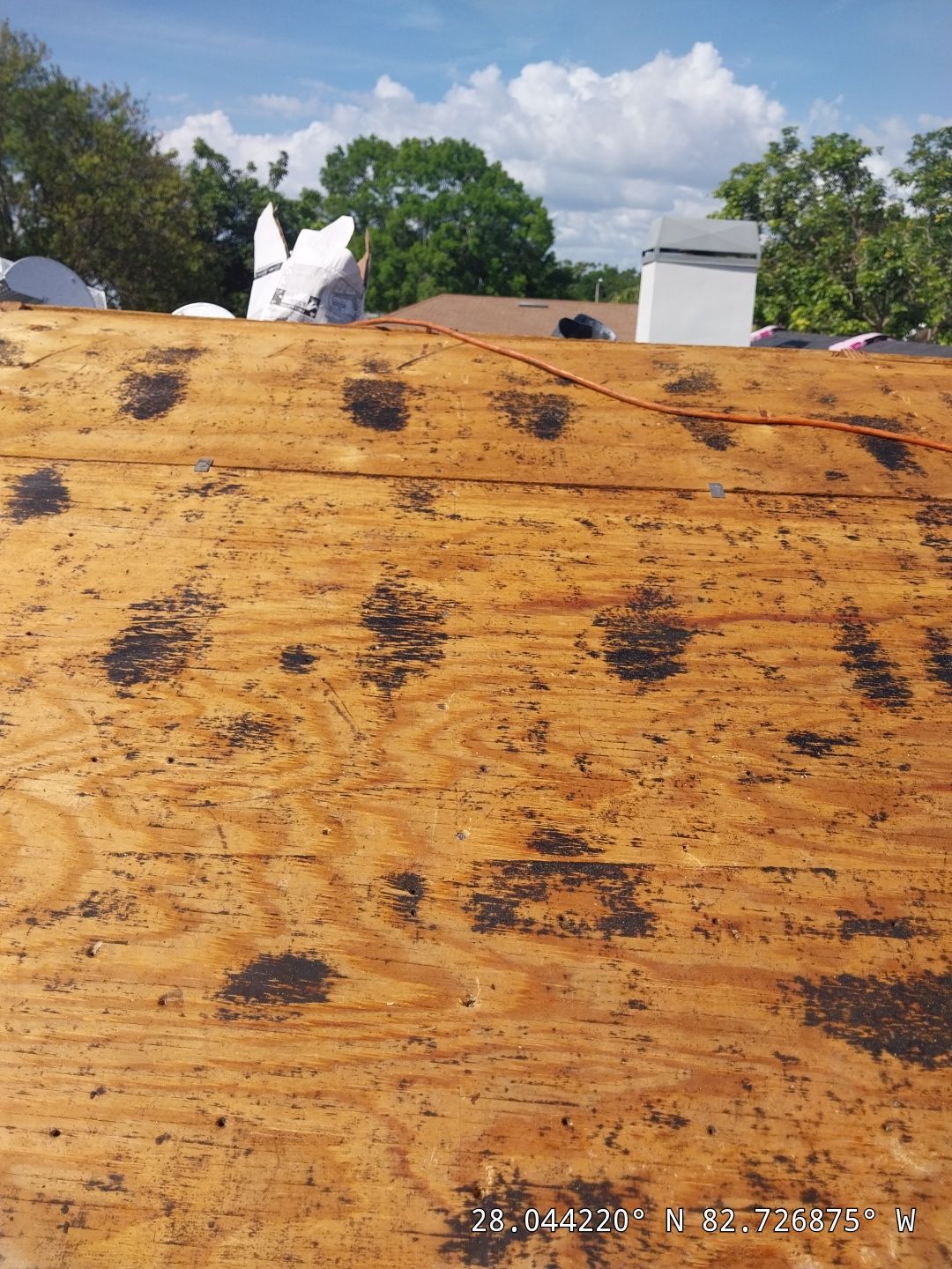 Project in Clearwater 33761 by Mitchell Roofing Company LLC
