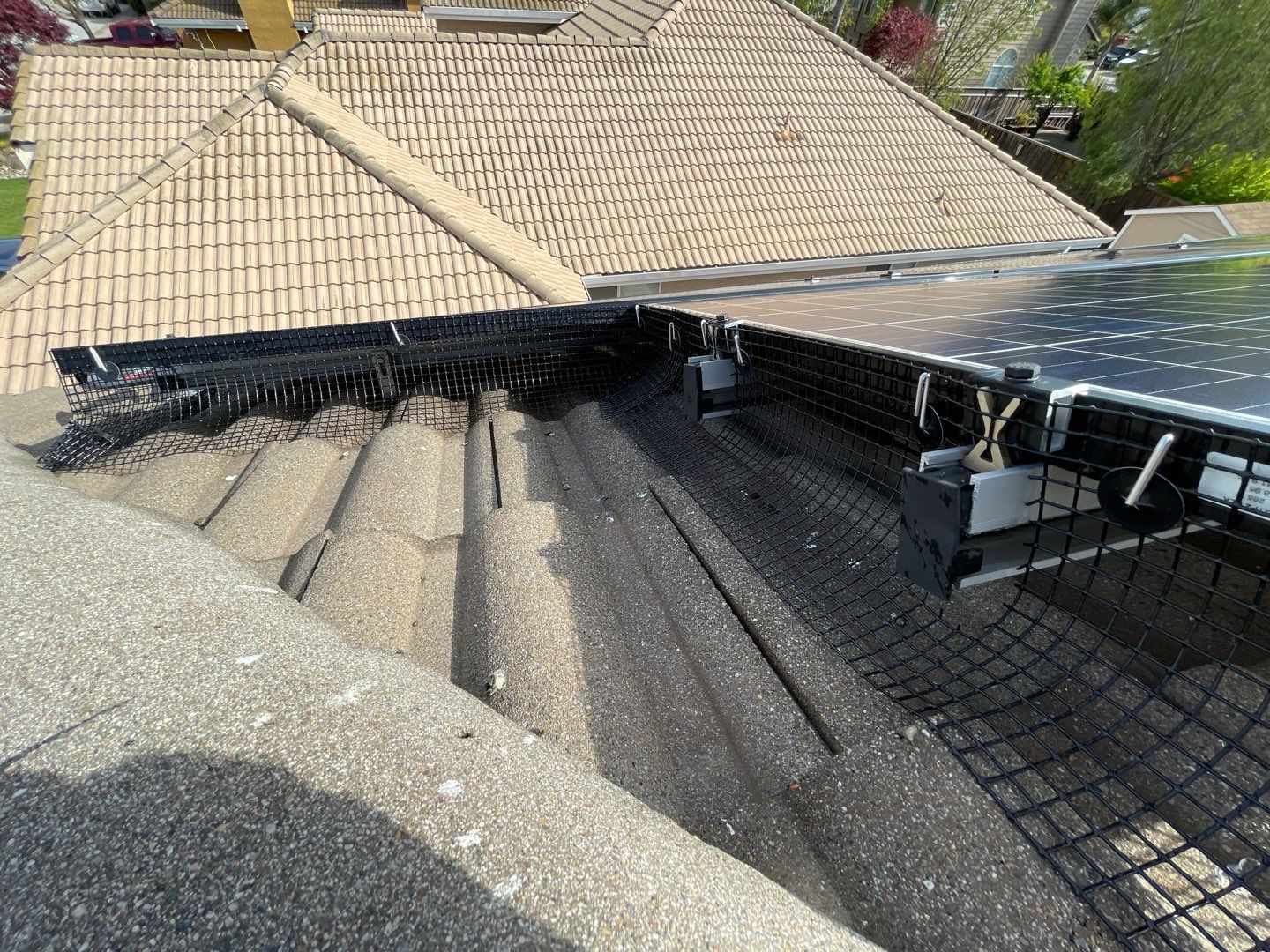Solar Panel Bird Proofing-Morgan Hill by All One Solar Shine