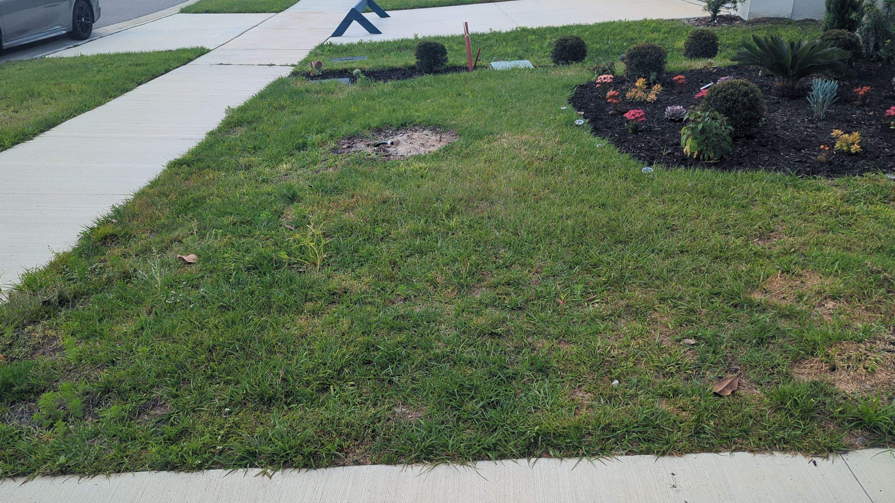 Complete Lawn Restoration with St. Augustine Sod by 
M.A.B. Landscaping & Property Maintenance
