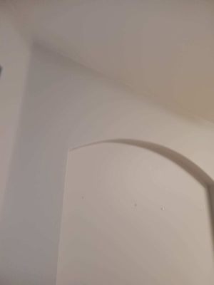 Project in Princeton