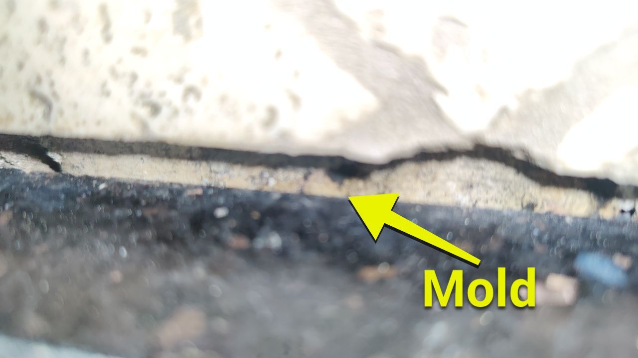 Mold Damage by Accountable Home Services