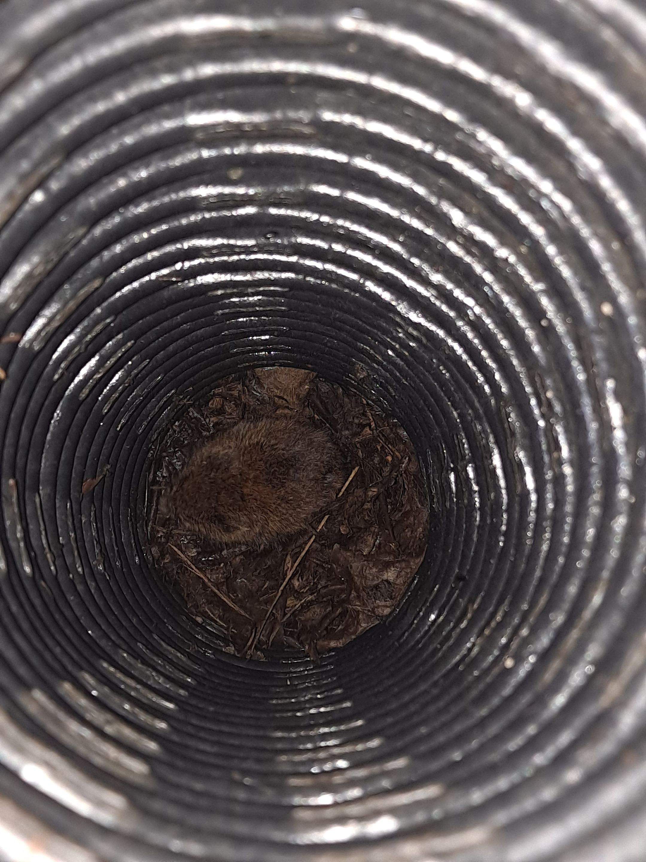 Window Well Drain Cleanout by Allied Water Services