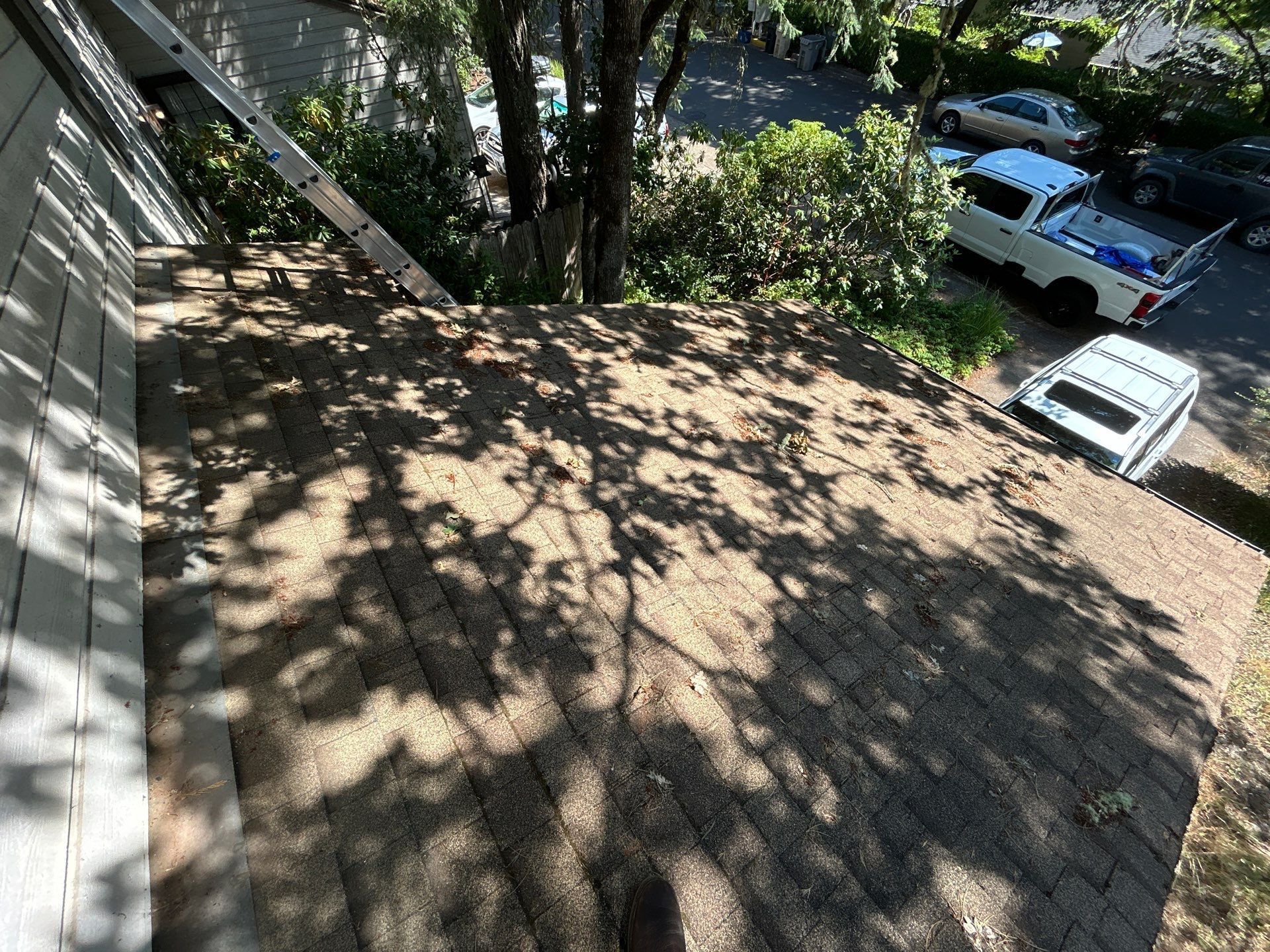 Roof Replacement in Corvallis by Prodigy Roof Solutions
