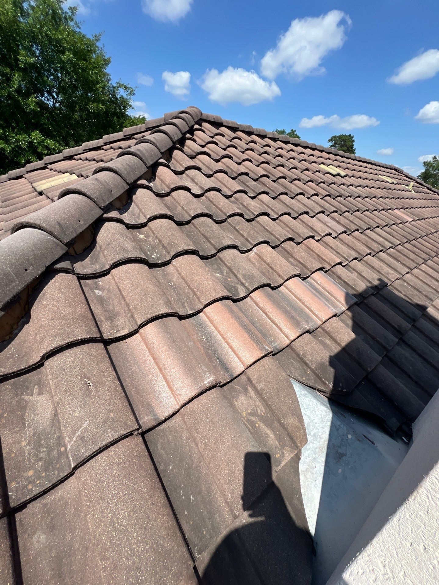 Roof Repair Spring by Roof Repair Company