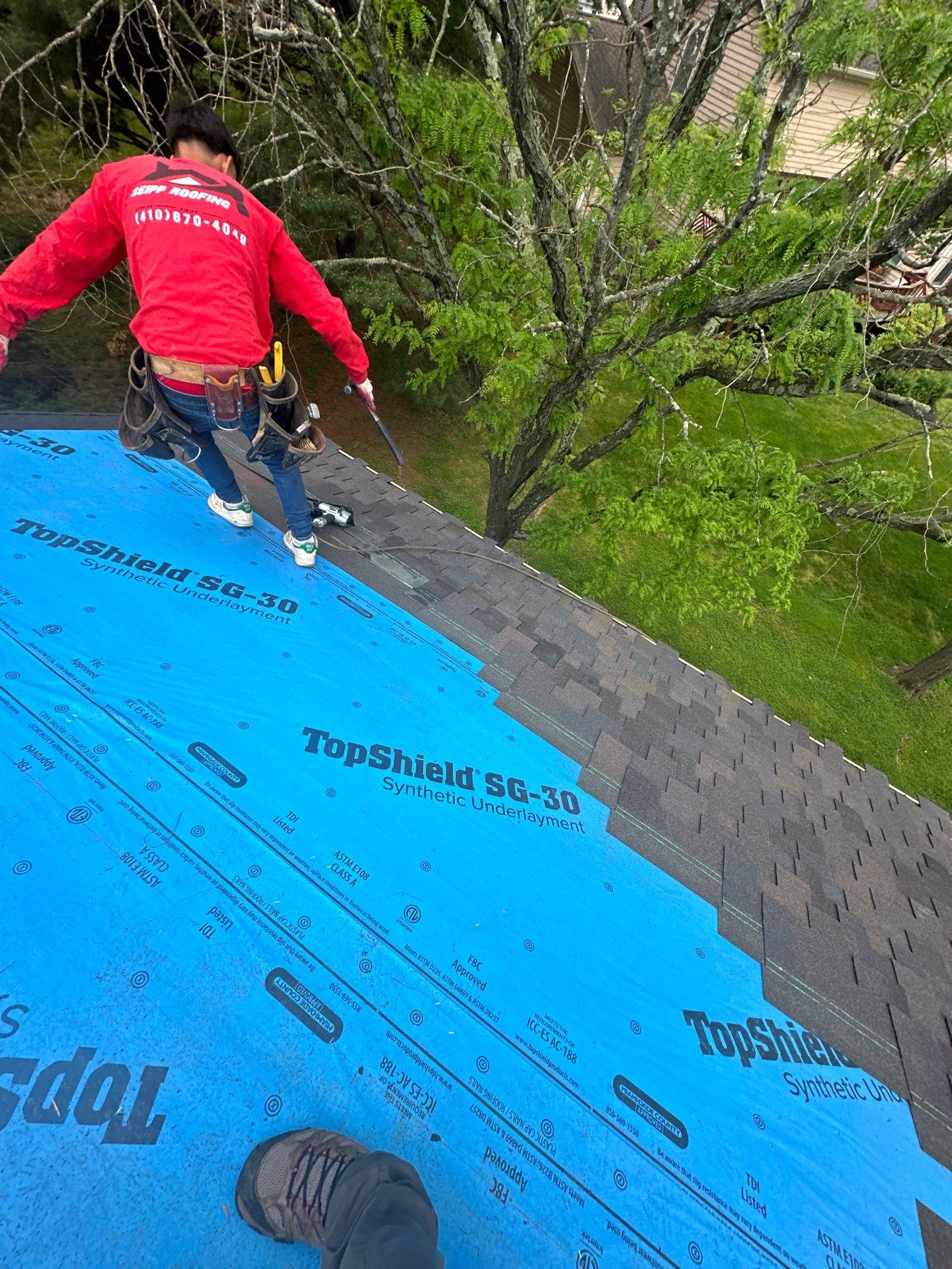 Designer Shingle Roof Replacement in Baltimore, MD • Susan S. by Seipp Roofing, LLC