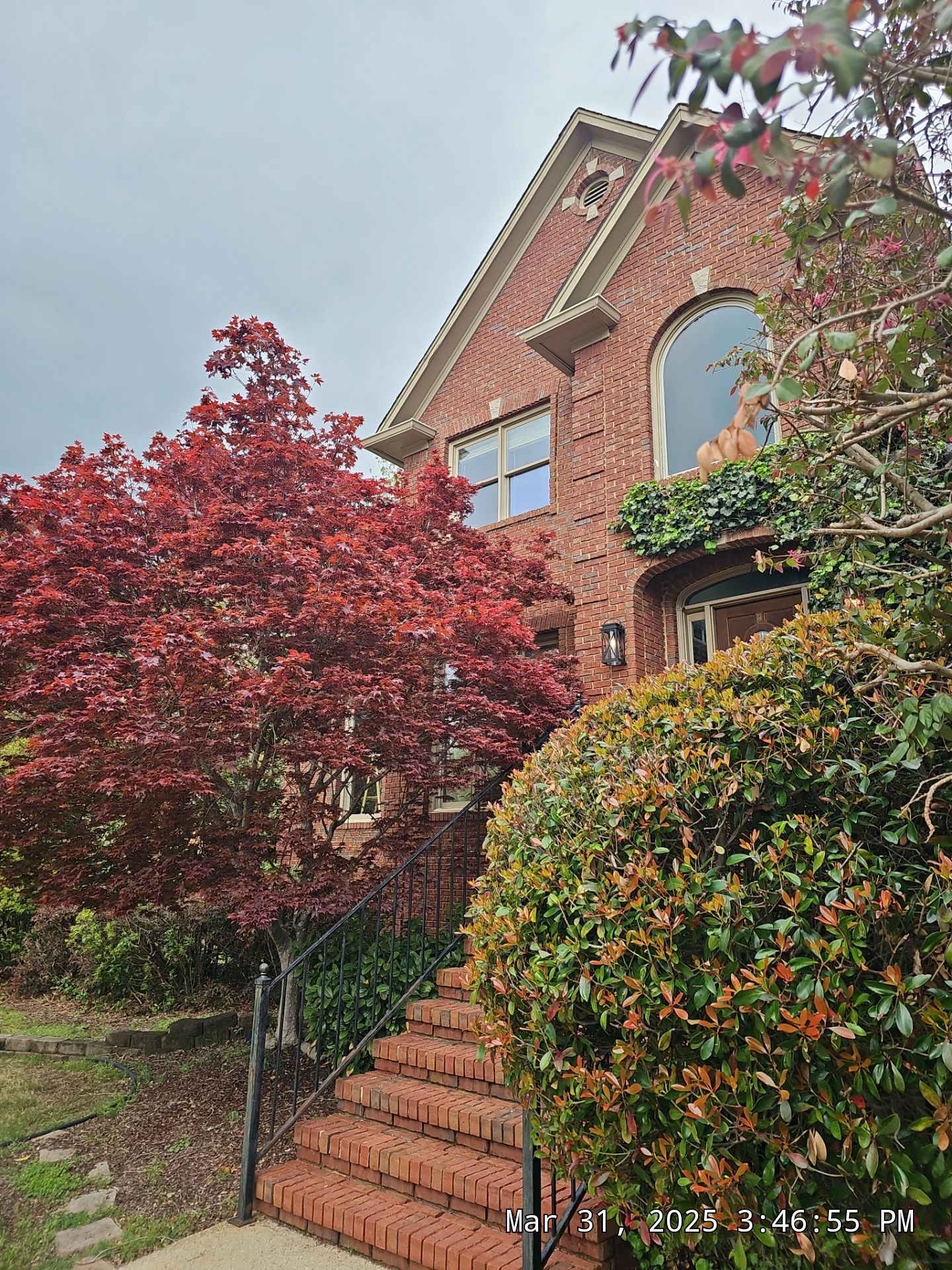 Hoyt Project in Birmingham by The Window Source