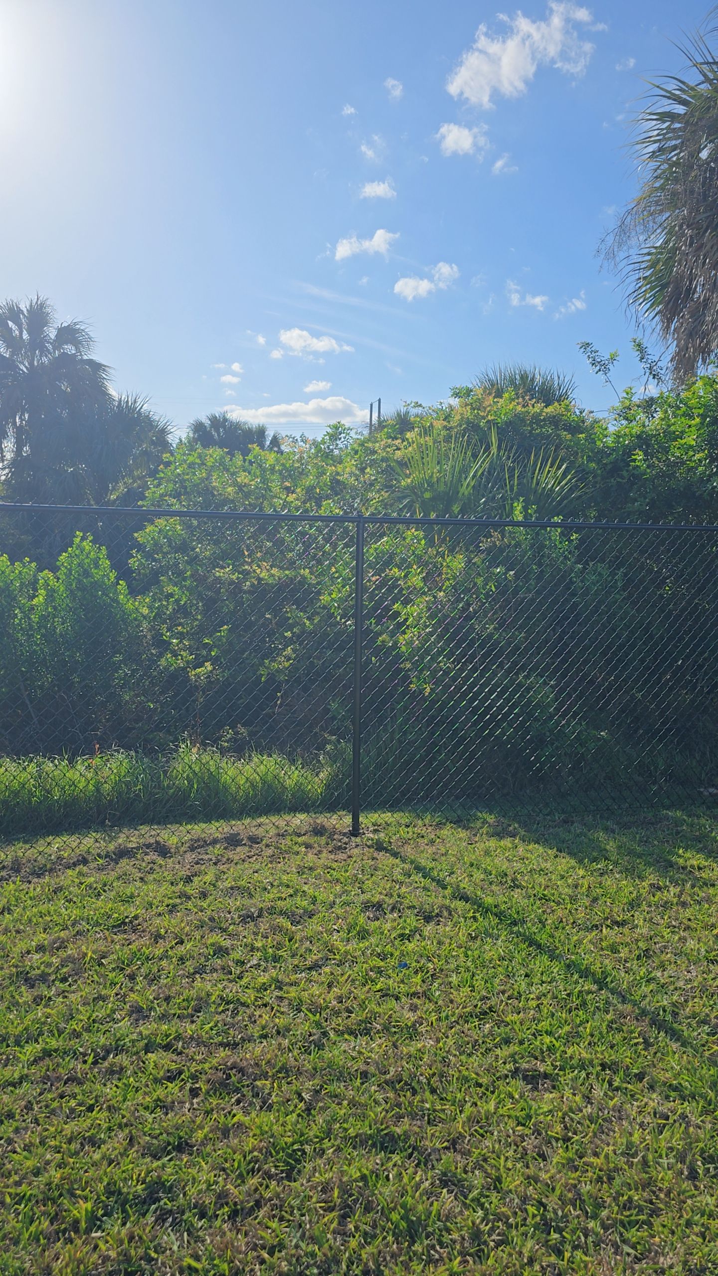 Chain Link Fence in Lehigh Acres by True Fence LLC
