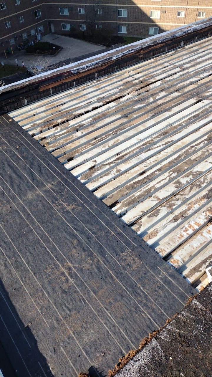Commercial flat roof parma by Absolute Roofing and Construction