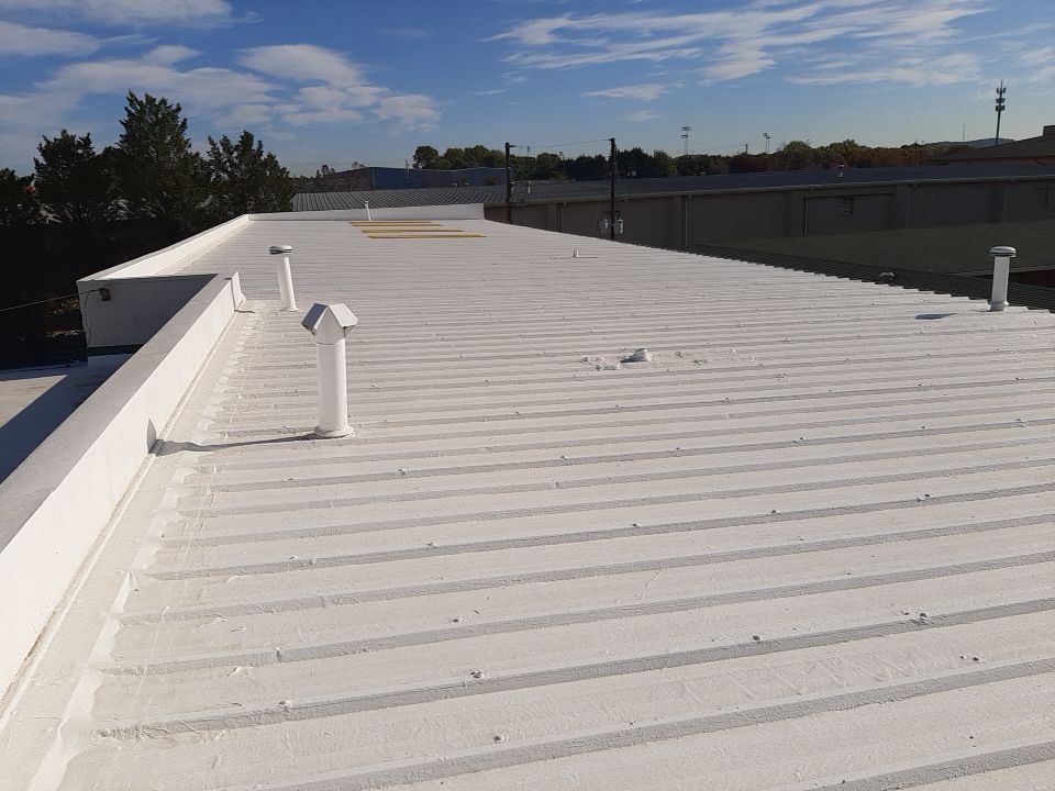 Metal Coating and Skylight Protection by Georgia Roof Advisors