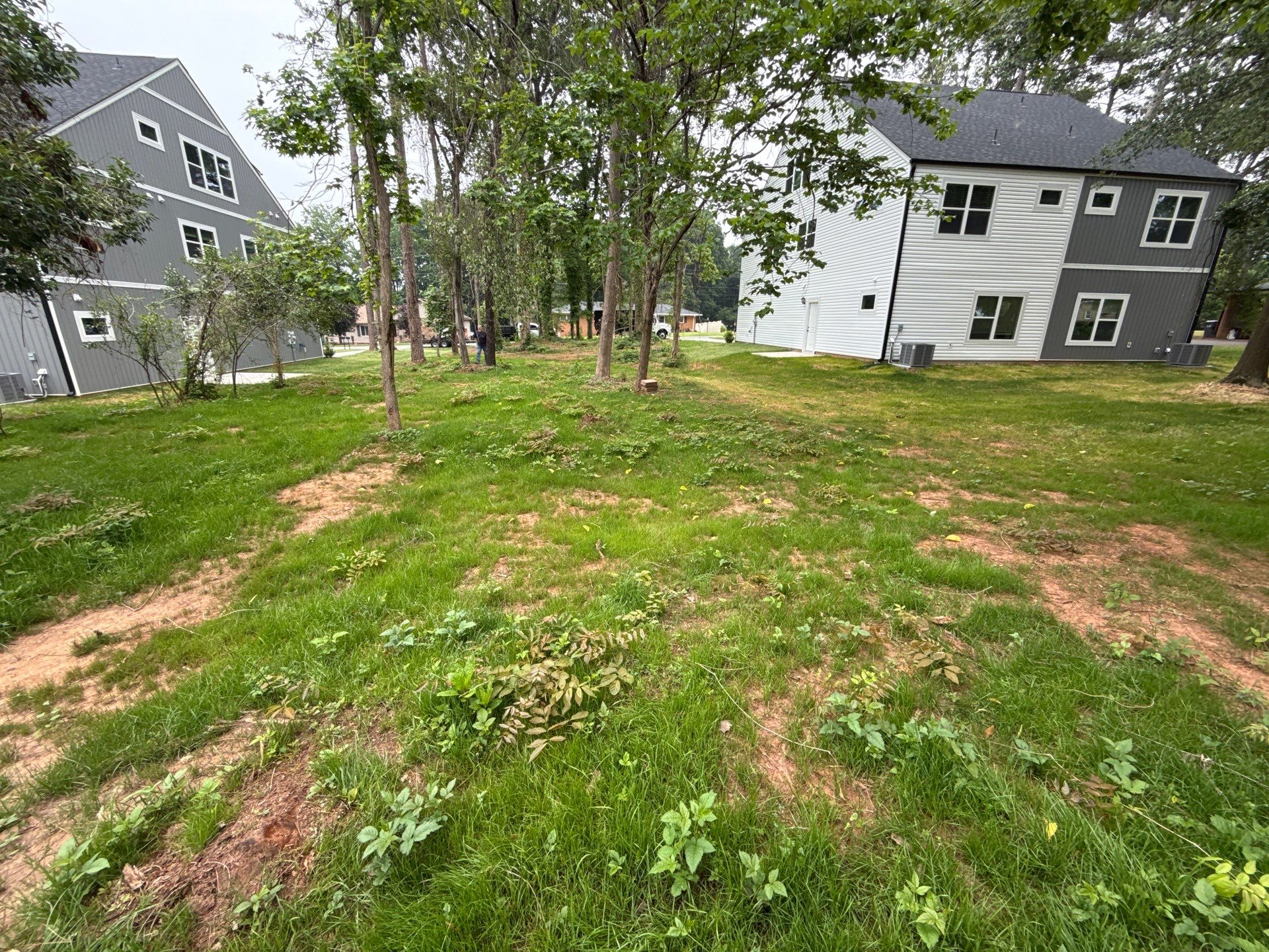 Project in Charlotte by Badger Hauling