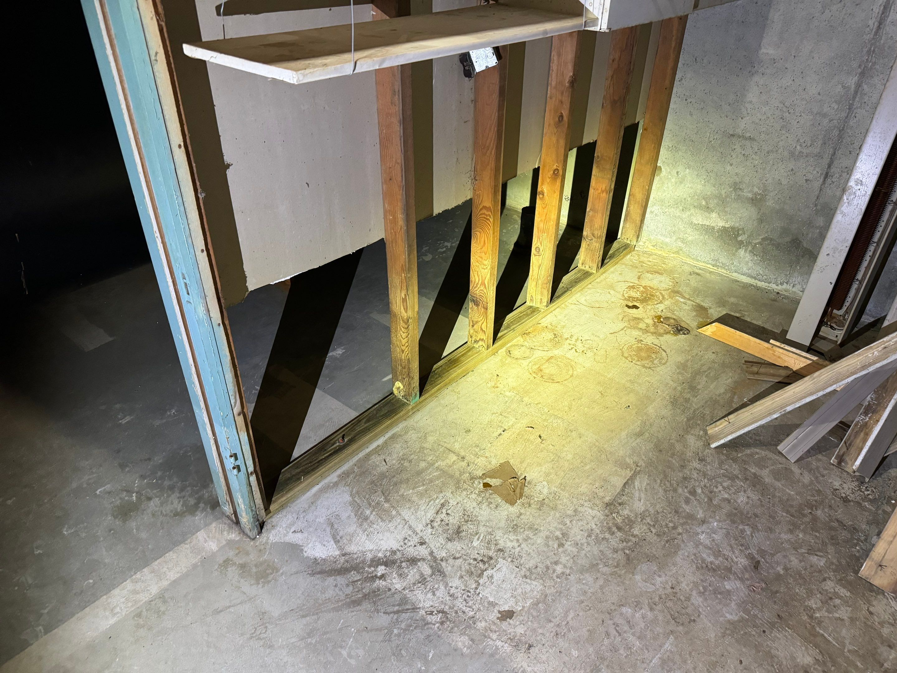 Basement Mold Remediation by Home Guarantee, LLC