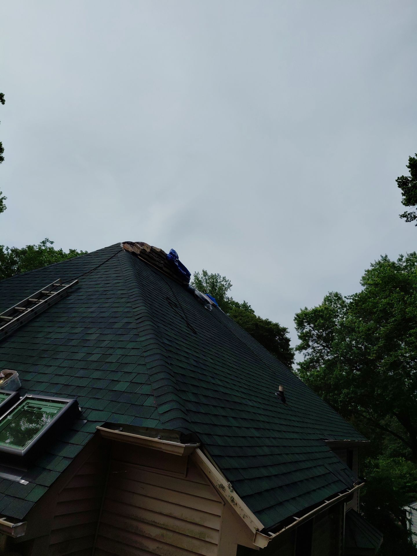 Springfield: Roof Replacement with CertainTeed Landmark Pro in Max Def Evergreen by RM Banning, Inc.
