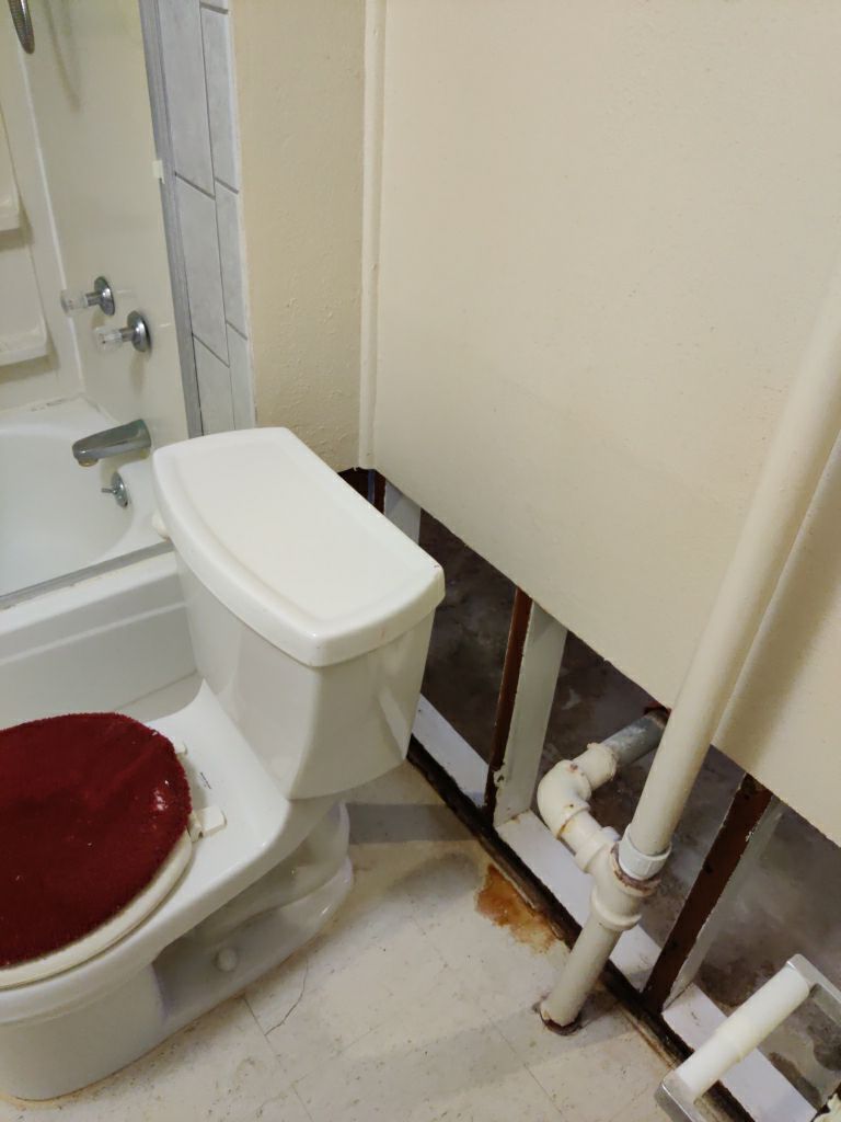 Mold Remediation in Basement by Accountable Home Services