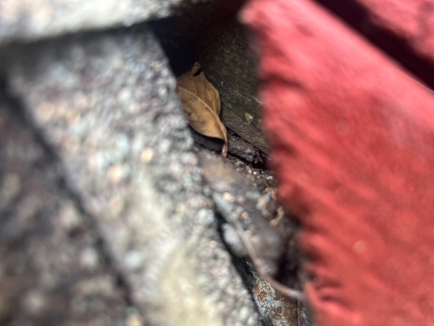 Patio Problems by Bayfront Roofing and Construction
