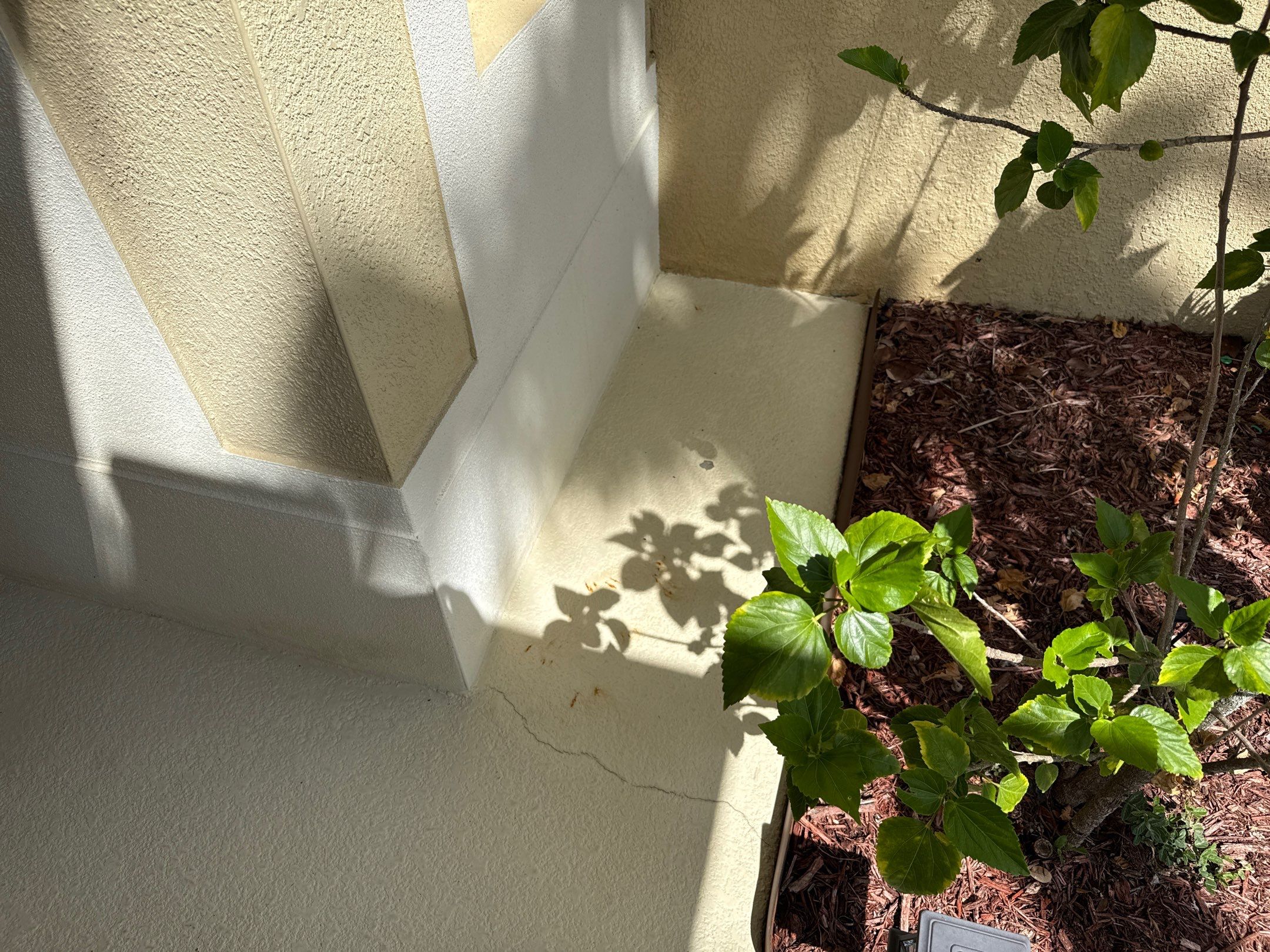 Driveway & Rear Wall Soft Wash | Lexington Community | Parrish, FL | Sunshine AquaWash by Sunshine AquaWash