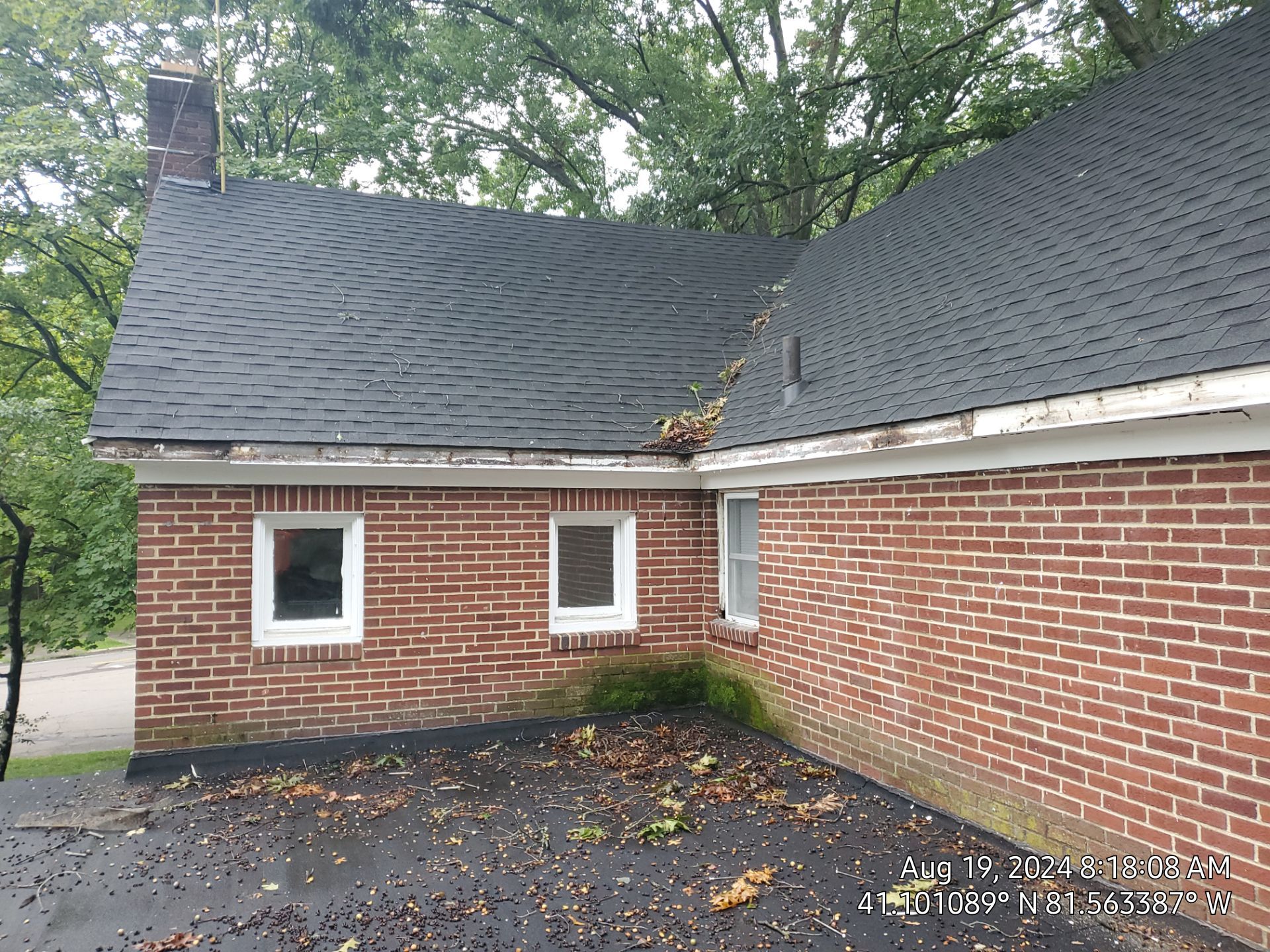 Laura Hostertter by Silver Leaf Contracting 