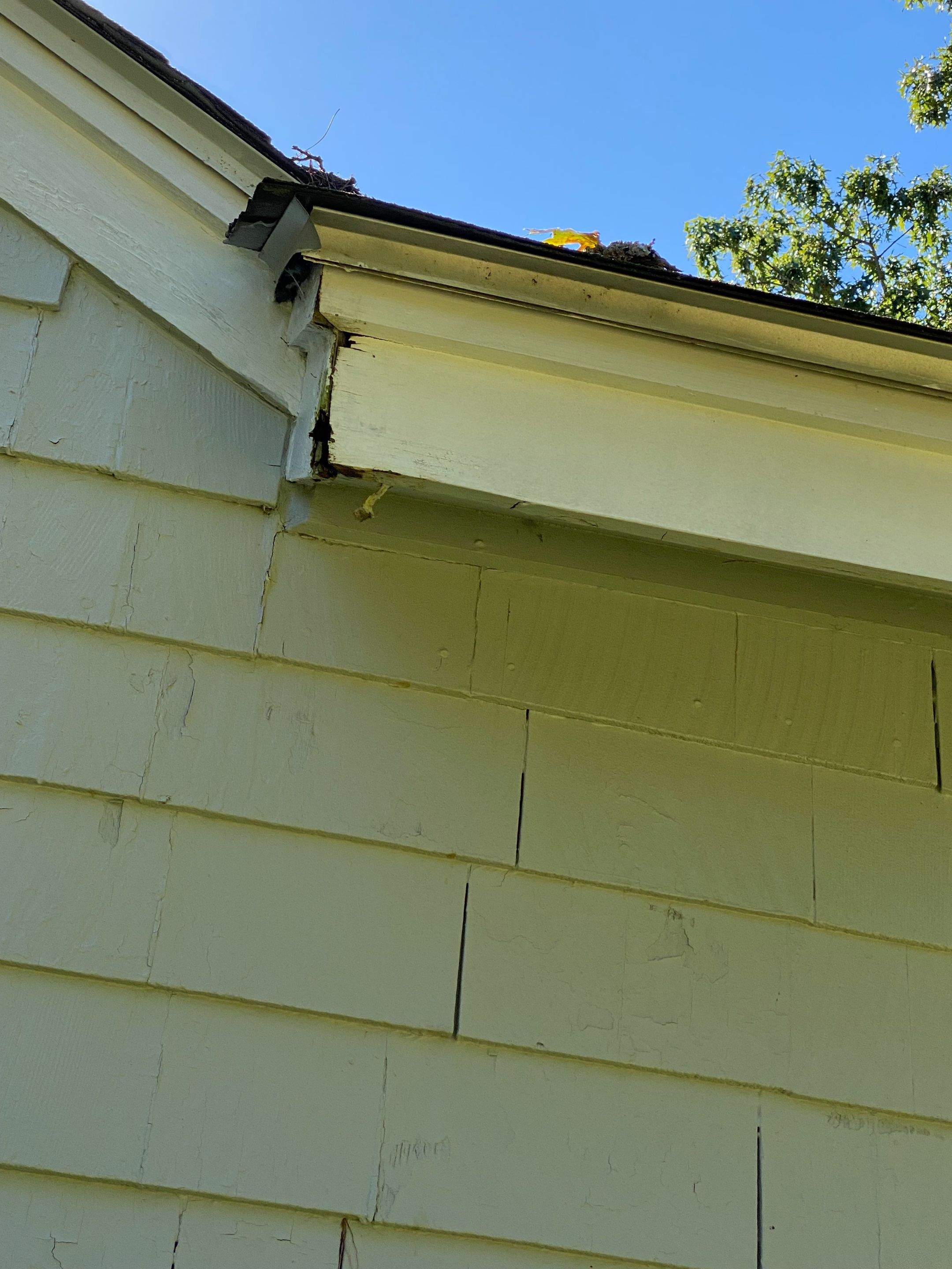 Roof Replacement + New Gutters & Guards — Chelmsford, MA by Mighty Dog Roofing of Greater Middlesex County