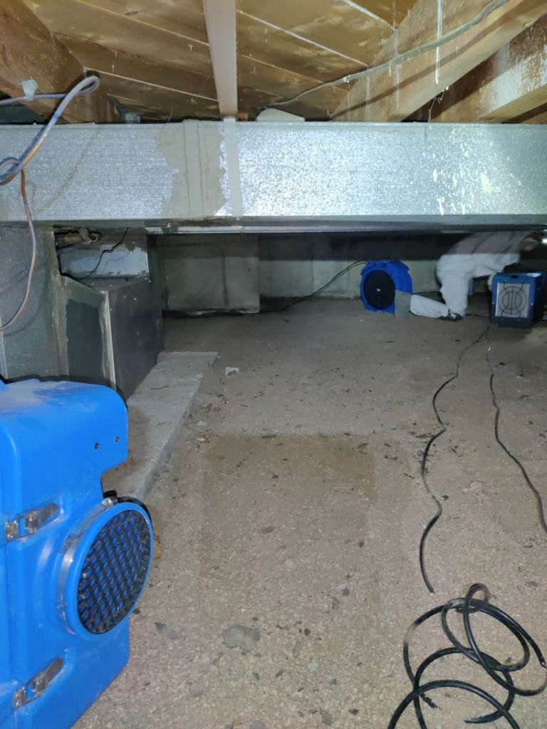 Crawl Space Cleanup  by Accountable Home Services