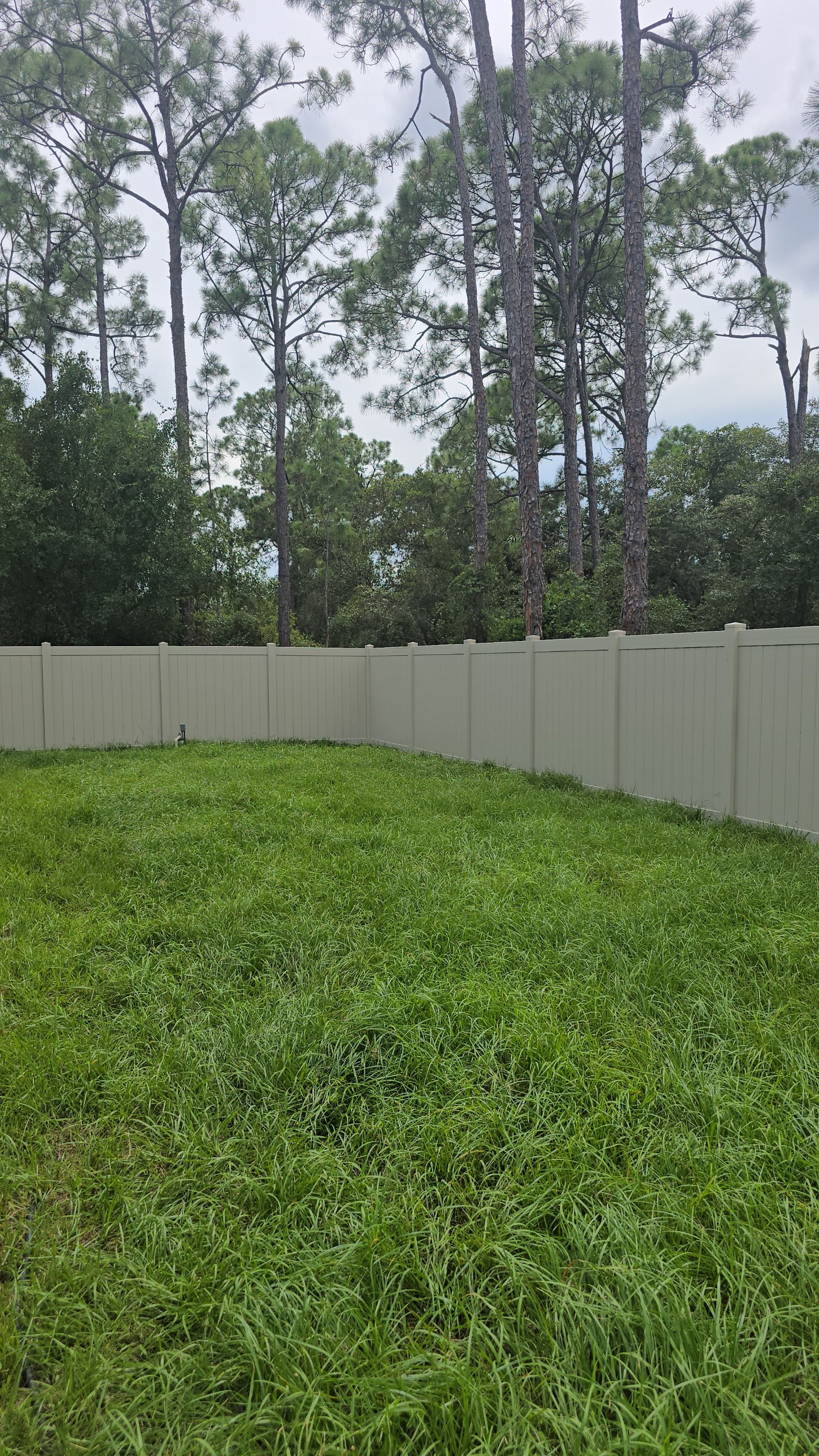 Tan Vinyl Privacy Fence and Gate Installation in Port Charlotte by True Fence LLC