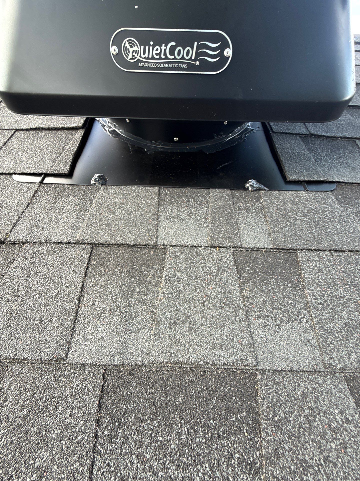 ADAM J by Boss Hogg Roofing