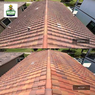 Residential Exterior House Wash and Tile Roof Maintenance in Orlando