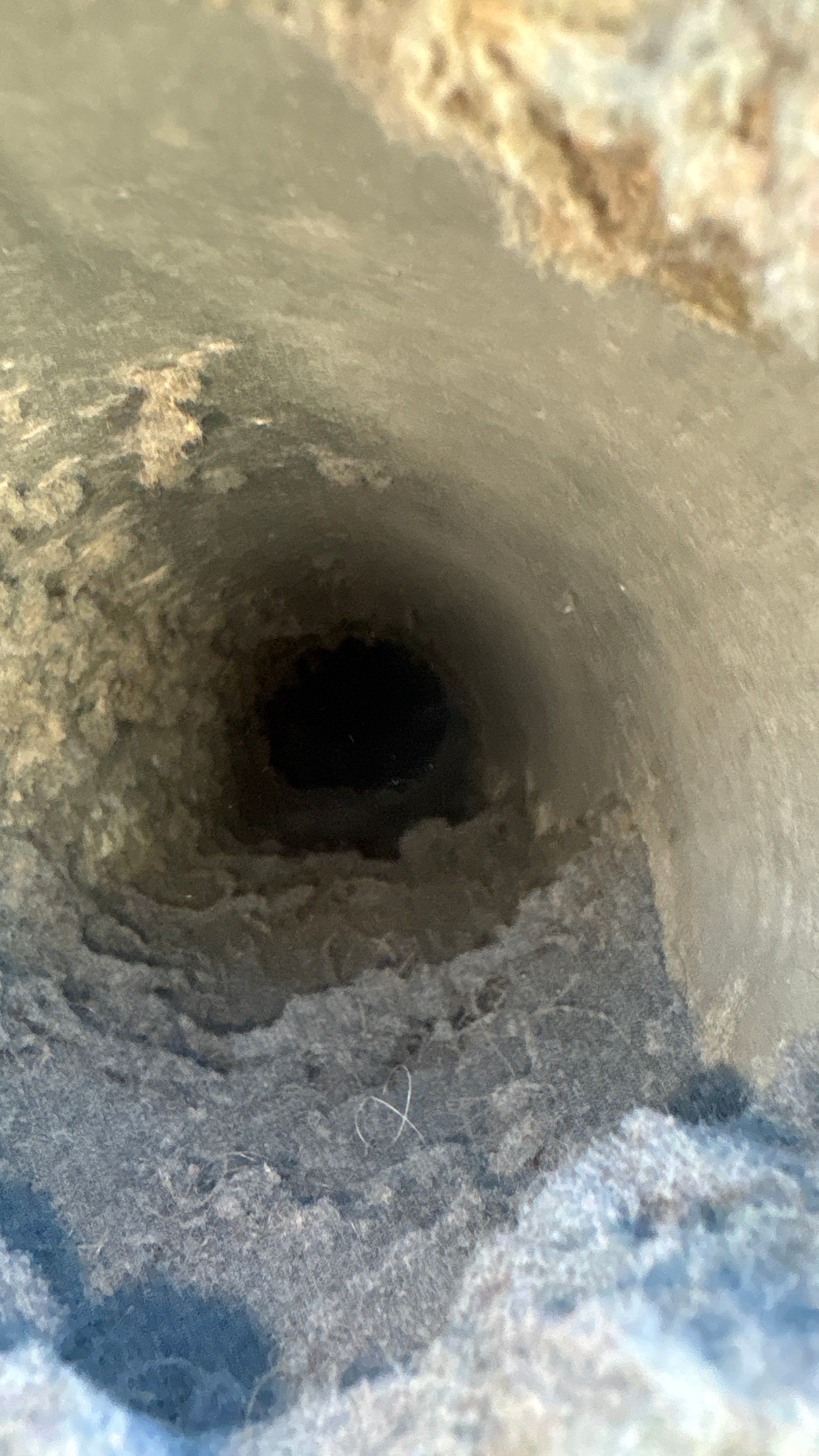 Dryer Vent Cleaning in Pittsburgh, PA by Superior Air Duct Cleaning