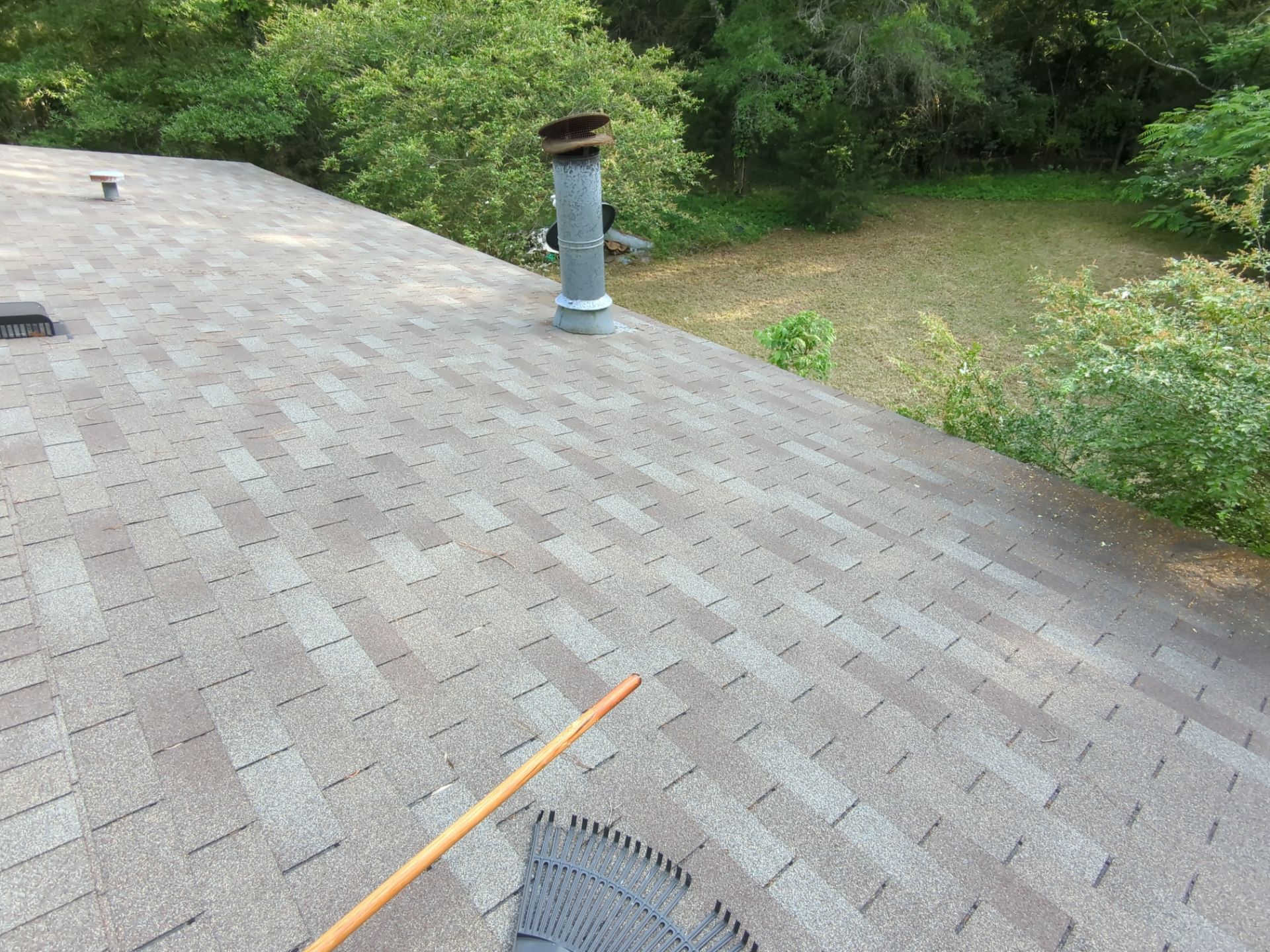 Exterior Clearing - tree trimming - grass cut by Swift Signings and Services LLC