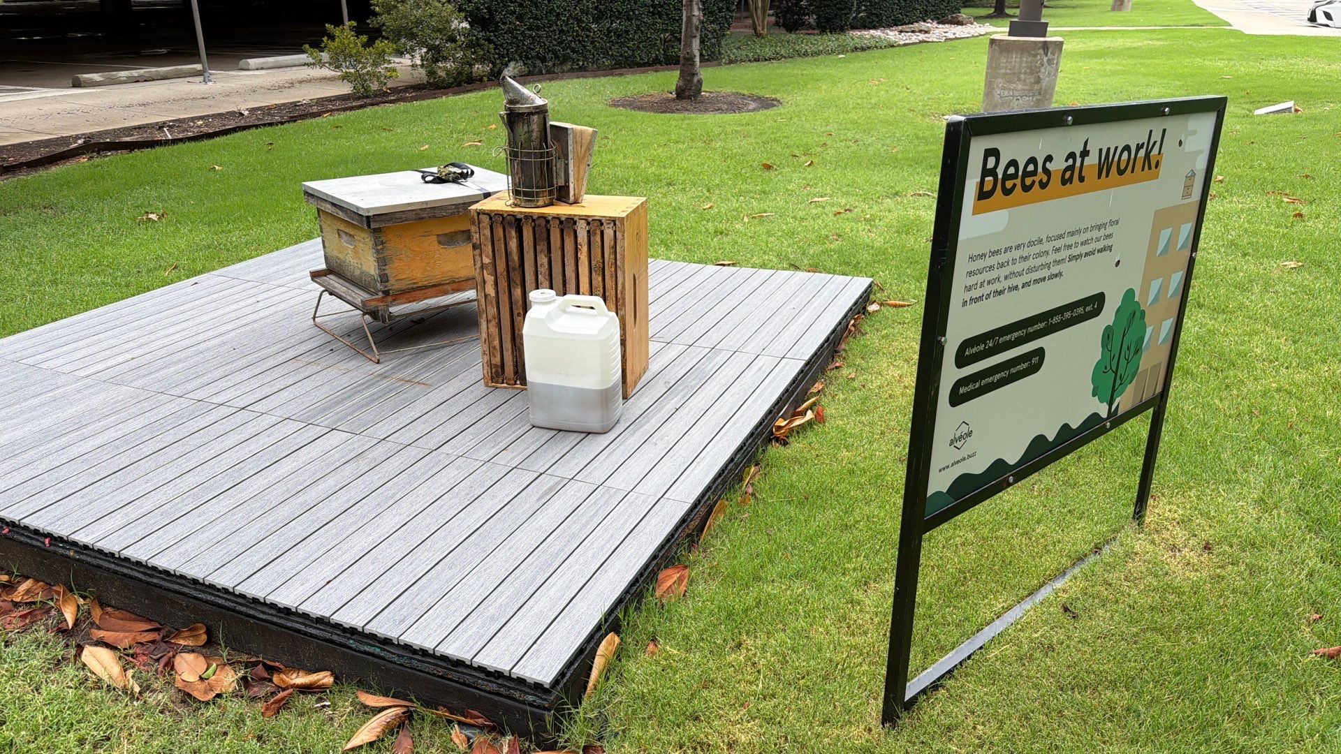 Platform Precious Population by Rockwall Honey Bee Company