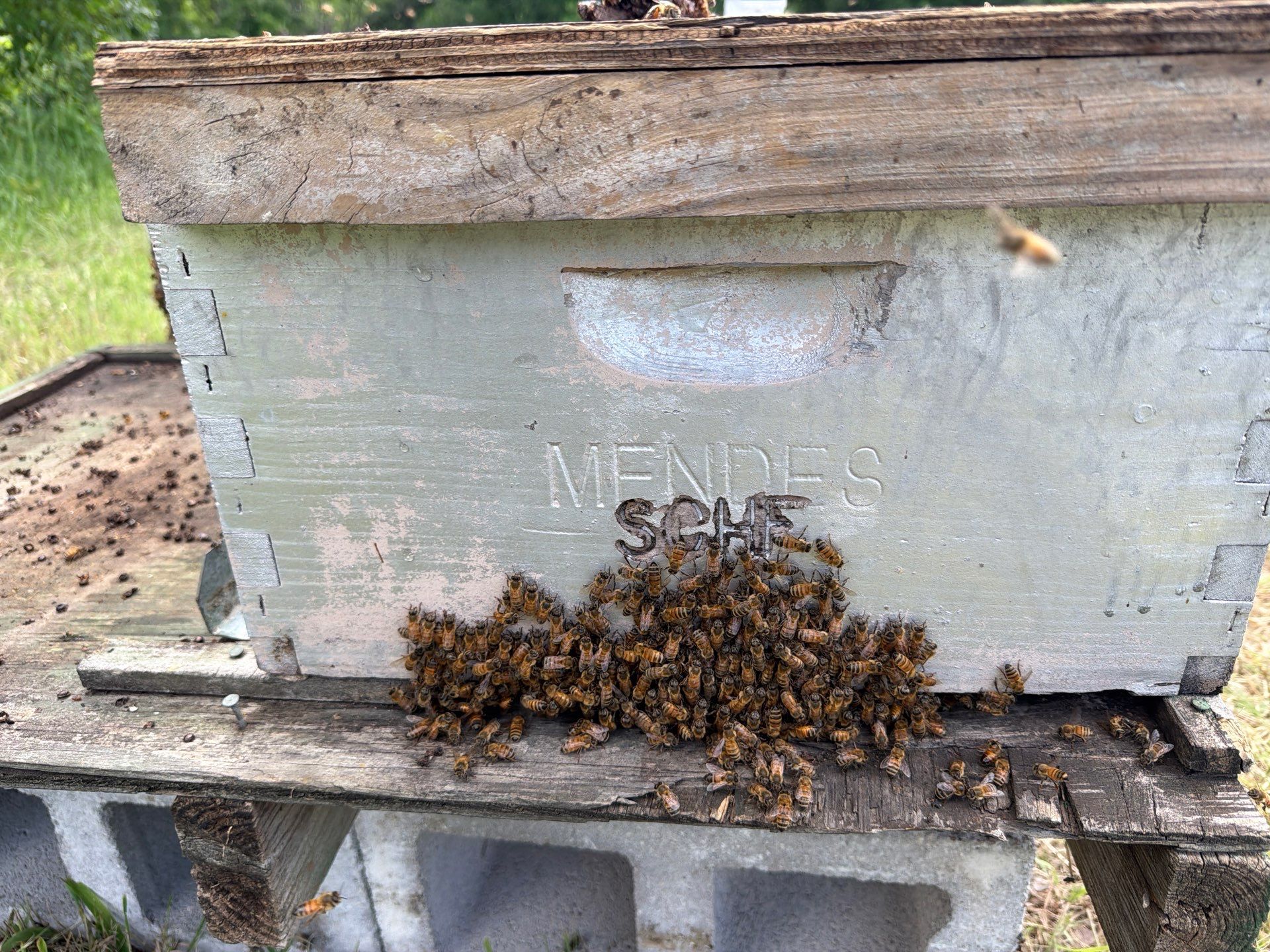 Ag. Exempt in Anna by Rockwall Honey Bee Company