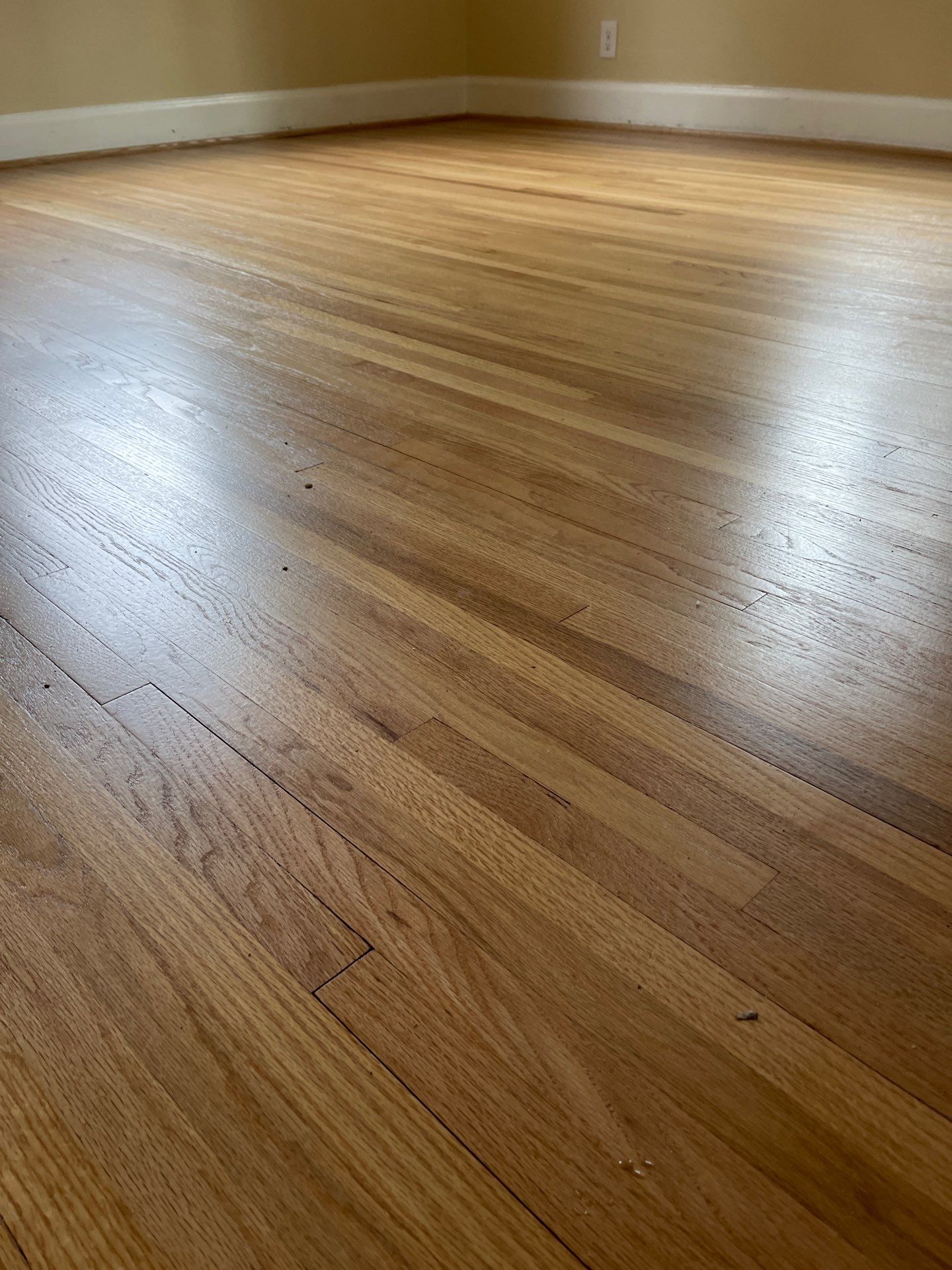 Historic Hardwood floor restoration  by Ann Arbor Hardwoods 
