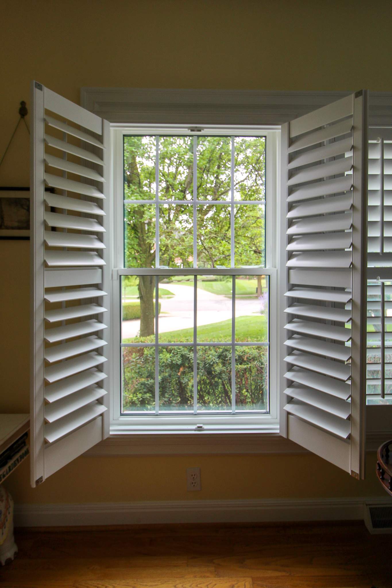 Window Replacement by Ivy Lea Construction