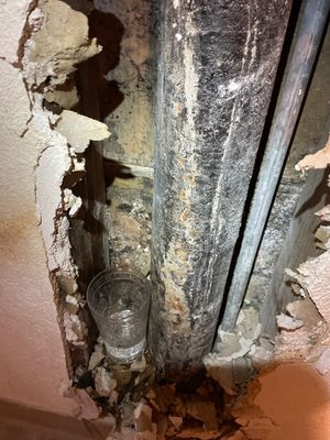 Mold Remediation