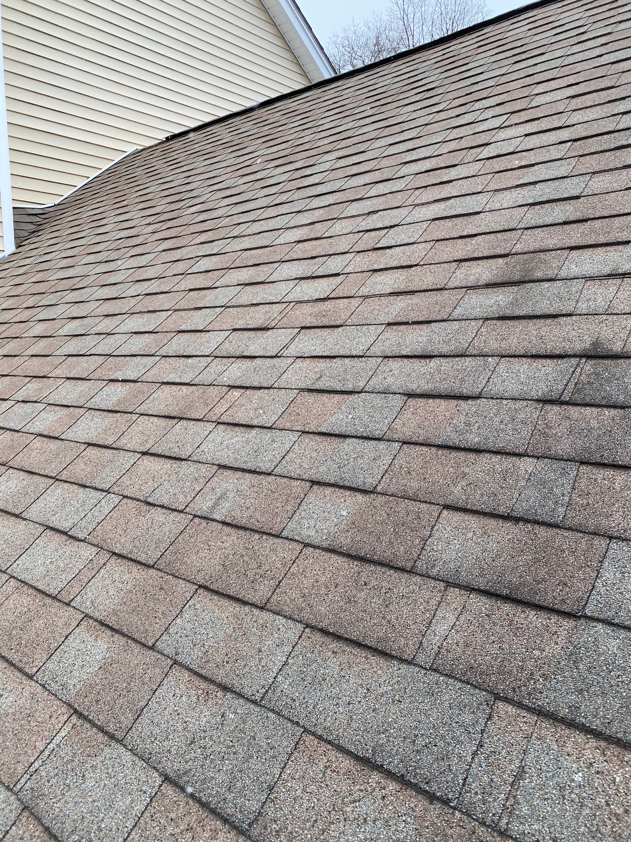 Realtor consult by Mighty Dog Roofing of Greater Middlesex County