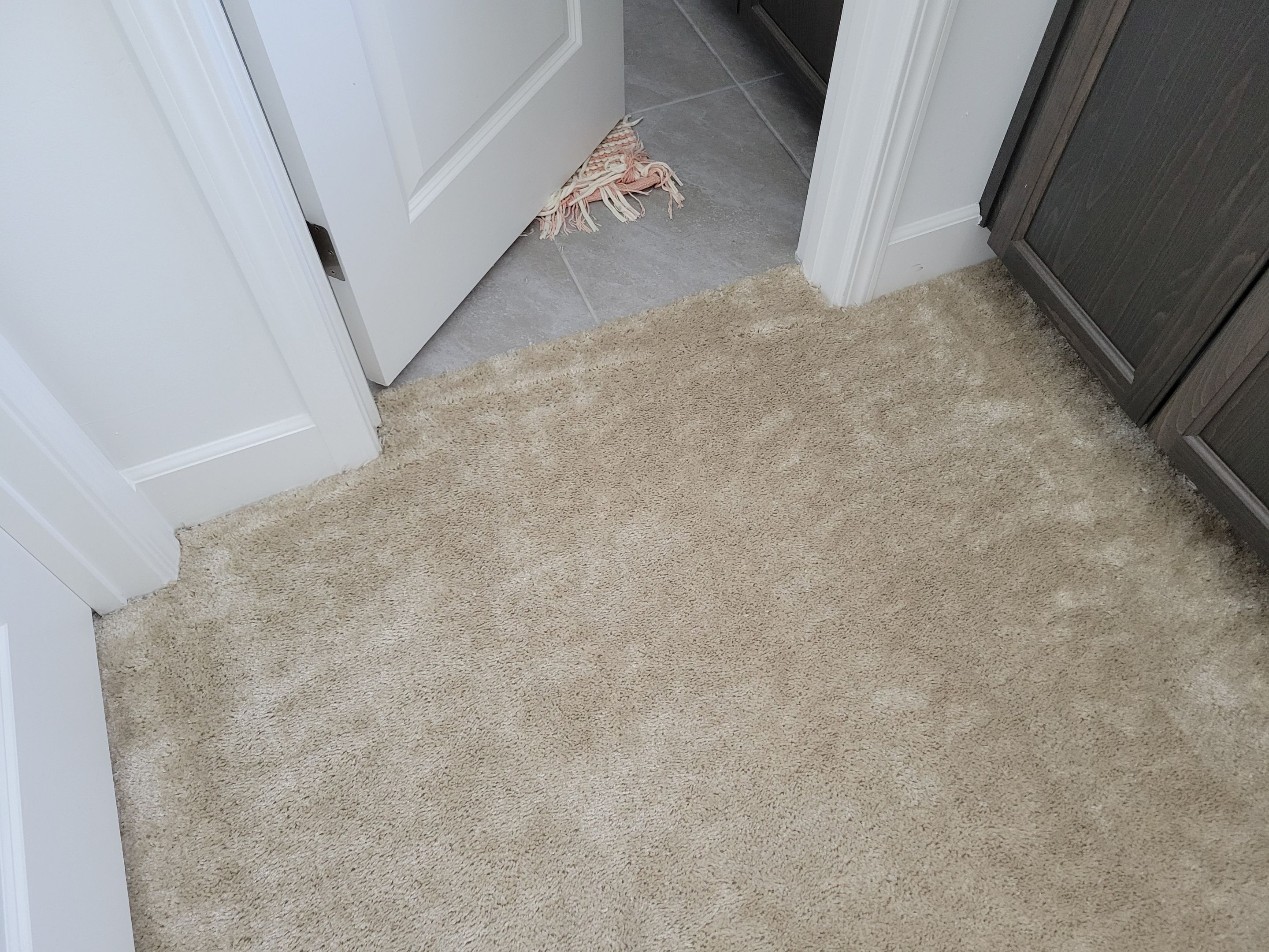 Carpet Repair of Paint, Stain & Bleach by Ardent Carpet Restore LLC