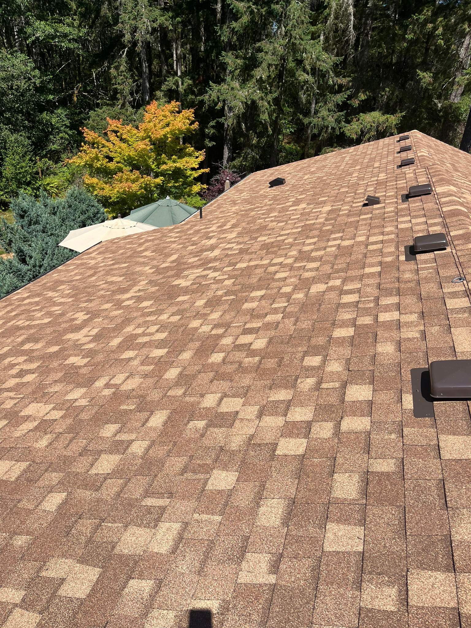 Residential Roof Replacement in Gig Harbor, WA by Hanley Construction