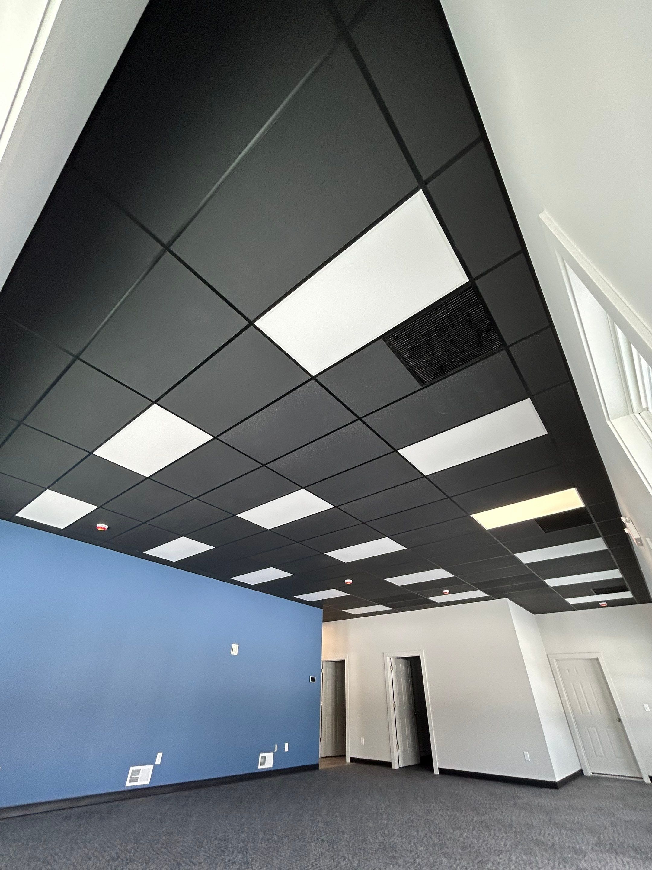 Full Office Build by Case Construction