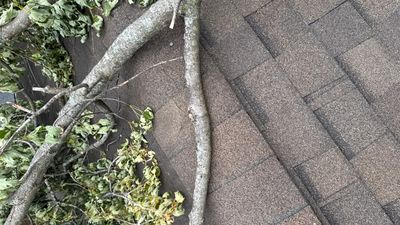 Turtle Shell gutter protection installation in Naperville, IL 60563, photograph 10
