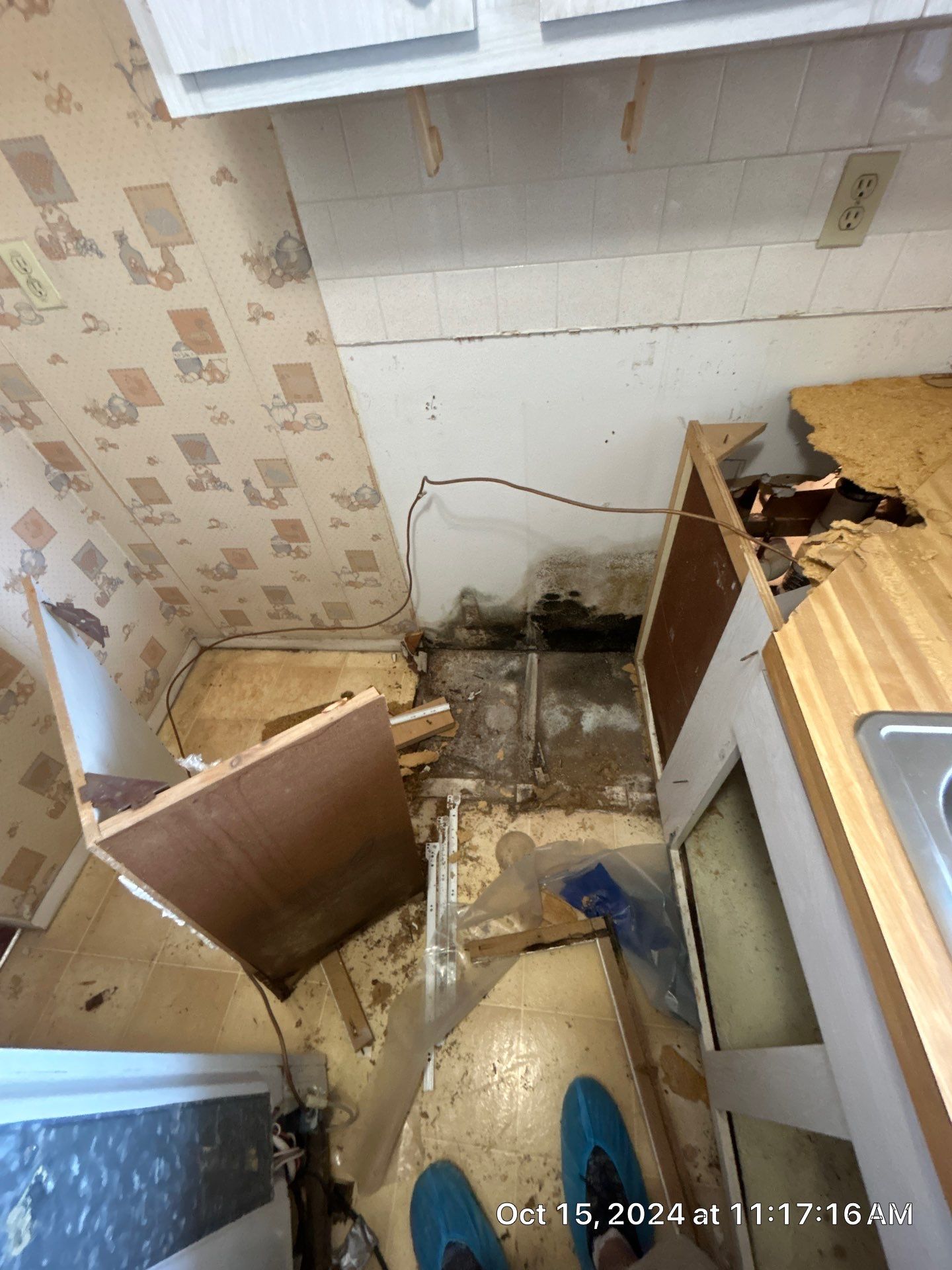 Mold Inspection by Ampm Restoration Services