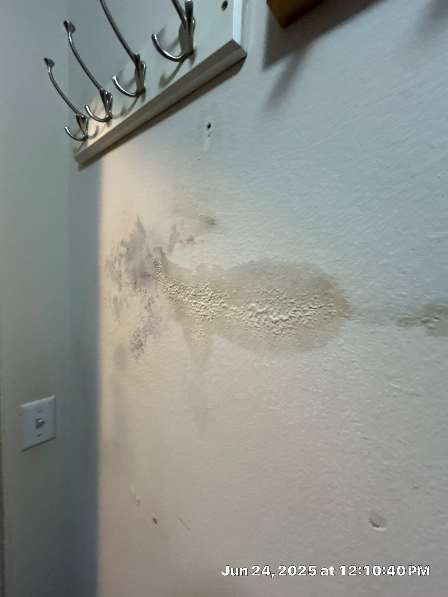 Water Damage Restoration In Sarasota by Ampm Restoration Services
